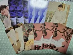 BTS テヒョン　V ダルマジュン　ミニフォト 15枚セット