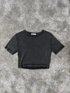 ZARA 半袖Tシャツ