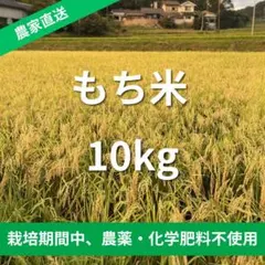 令和7年産】農家直送 自然栽培はさがけ米 10kg - メルカリ