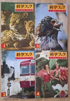 Item thumbnail for item 4a3e5202-e9a4-47c4-a950-3ed6d947cbbe