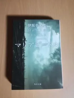 KR様 リクエスト 2点 まとめ商品