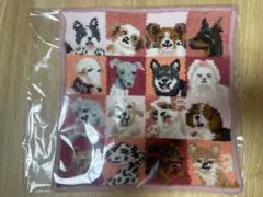 Item thumbnail for item 02a4b61d-5661-4b9f-abe9-1acc21650623