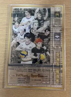 ハイキュー!!Sportivaコラボアクリルスタンド