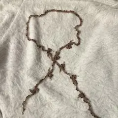 ビーズ ネックレス ブラウン系