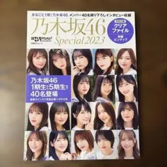 日経エンタテインメント! 乃木坂46 Special 2023【クリアファイル…