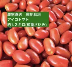 ミニトマト アイコトマト　約1.2㎏(箱の重さ込み)のサムネイル
