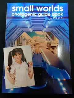 small worlds photogenic guide book PROM