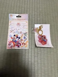 ディズニー 40周年 グランドフィナーレ ミッキー キーチェーンのサムネイル