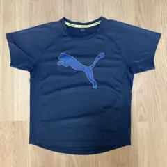 Puma ネイビー 半袖 Tシャツ 150 スポーツ