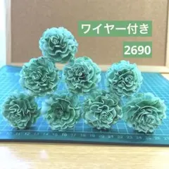ソラフラワー　2690