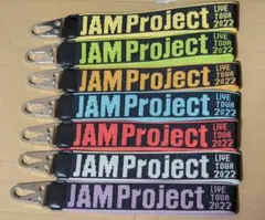 JAMProject キーホルダーセット JAMProject キーホルダーセット マスコット付キーホルダー ZX200