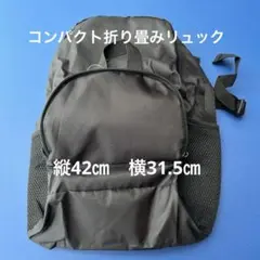 DAISO コンパクト折り畳みリュック　新品未使用