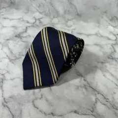 Item thumbnail for item 5cddab46-f466-4e84-8669-48ccf7f6db9b