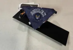 Item thumbnail for item 2cd7bfe5-9044-427d-a545-60cbfcf289af