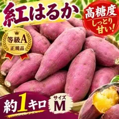 紅はるか さつまいも 約1kg Mサイズ 等級A 正規品