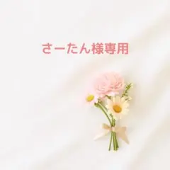 さーたん様 リクエスト 2点 立体アニマル天使モールド、3つ作れる 巾着モールド