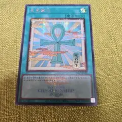 遊戯王 死者蘇生 絵違い シークレット WCS 2026 遊戯王 死者蘇生 絵違い シークレット WCS 2026 - メルカリ