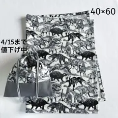 ランチョンマット40×60 給食袋巾着袋　ハンドメイド　92 恐竜柄
