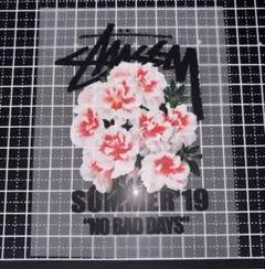 ステューシー　アイロンシート