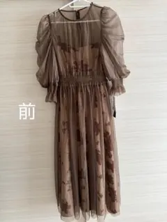 Item thumbnail for item 6706b822-96dd-4575-8dd4-0dc67729eeee