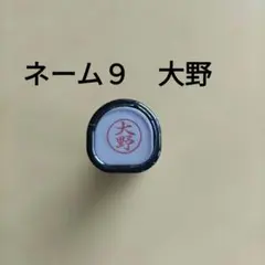 Item thumbnail for item 9c364b0e-1910-4324-bb98-df3af83b35ad