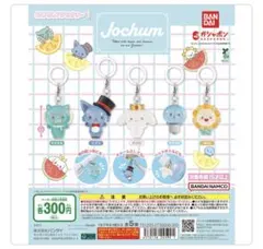 JOCHUM RURU めじるしアクセサリー