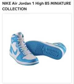 Nike Air Jordan エアジョーダン POWDER BLUE