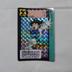 初版】❣️1991年製 ドラゴンボールZ カードダス 本弾 No.260 孫悟飯