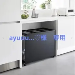 TOWER 目隠し分別ダストワゴン タワー 45L 3分別　未開墾未使用のサムネイル