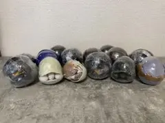 いきもの大図鑑まとめ売り未開封14個セット