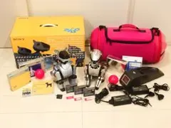 【激レア可動美品】SONY AIBO ERS-220 ＆ 210 アクセサリ1式のサムネイル