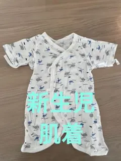 Item thumbnail for item 57238e28-67a2-4372-975f-a152757aa388