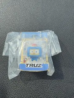 treasure TRUZ ブリスターチャームコレクション　HIKUN