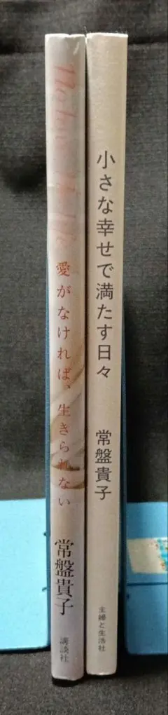 常盤貴子フォト&エッセイ　2冊セット