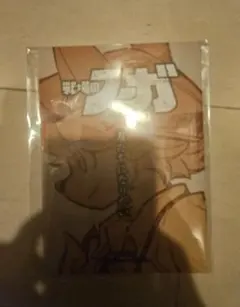 はんぺん様 リクエスト 2点 まとめ商品