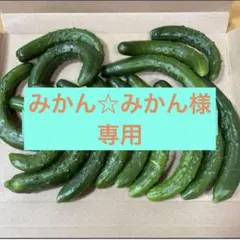 みかん☆みかん様専用のサムネイル