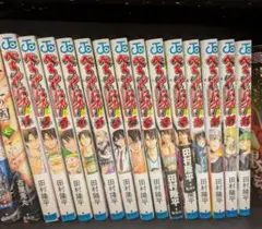 ベルゼバブ13巻セット