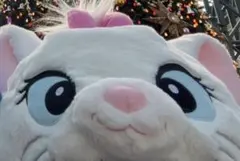 マリーちゃん ファンキャップ