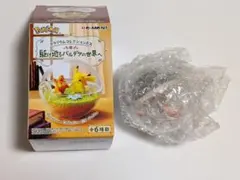 テラリウムコレクションEX 駆け巡るパルデアの世界へ　ホゲータ