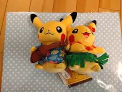 ポケモン　ぬいぐるみ マンスリーピカチュウ 8月　タグ付き