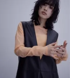 ストレッチタフタロングT アダムエロペ　オレンジ　橙　シアー