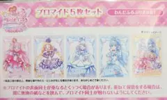 プリキュア 映画 ブロマイドセット わんだふるぷりきゅあ 5枚セット