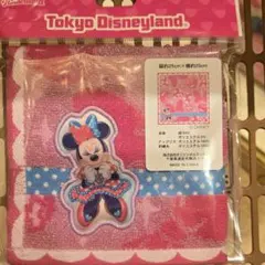 ミニー タオル ハンカチ タオルハンカチ ファンダーランド パルパルーザ