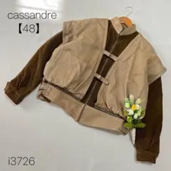 Item thumbnail for item 6fbc7c53-2856-469f-965d-336cecb11ed7