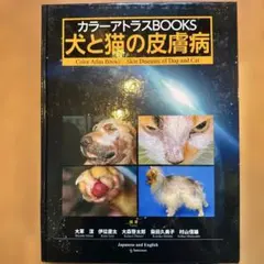 根分岐部病変アトラス 歯科 本 - メルカリ