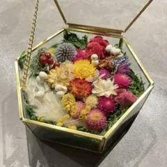 ドライフラワー 六角形装飾ケース