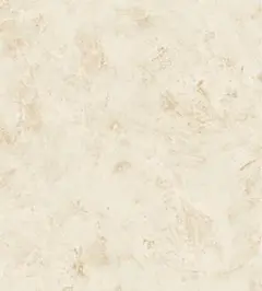 M様専用 大谷 生写真