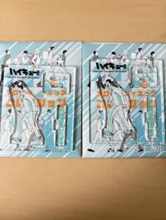 ハイキュー　アクリルフィギュアコレクション　金田一　青葉城西