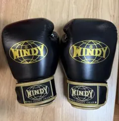 WINDY ボクシンググローブ ブラック ゴールドのサムネイル