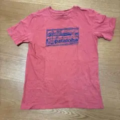 patagonia オーガニックコットン Tシャツ